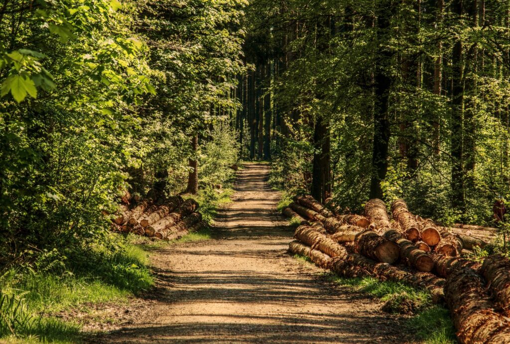 Granulés de chauffage certifiés : forêts durables